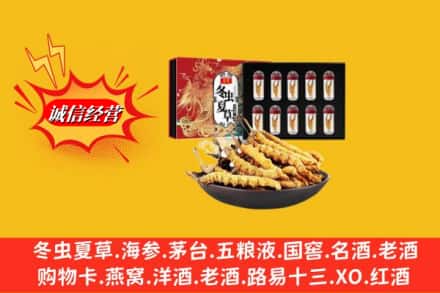 通道县名酒回收虫草.jpg